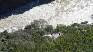 俯瞰湍急河流旁的植被