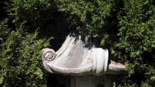 花园中的蜷曲雕塑