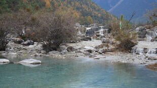 清澈溪边的自然美景