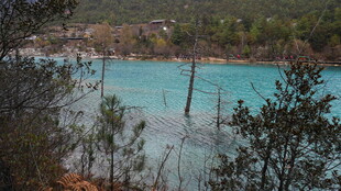 蓝湖风光 林木环绕的美景