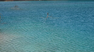 清澈蓝绿色海水美景