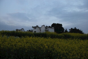 田野中的古老建筑