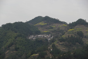 山间村落隐于葱郁山林间