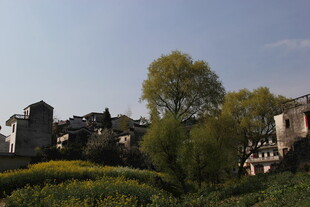 乡村田园风光美景