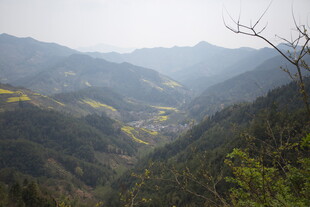 山间美景 绿意盎然的山谷