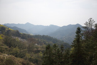 山峦叠翠间的葱郁山林