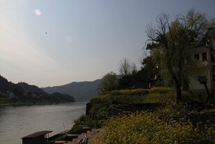 河畔风光 自然景致迷人