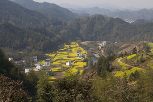 山间村落油菜花田美景