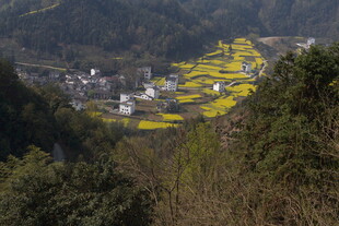 山间油菜田与村落美景