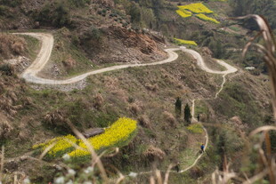 山间蜿蜒公路与烂漫花海