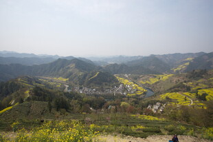 春日山间烂漫油菜花海