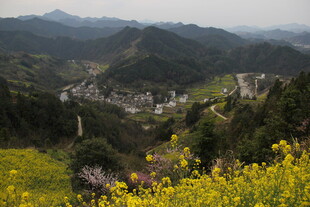 山间村落伴繁花美景