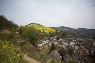山村春色 繁花点缀村落
