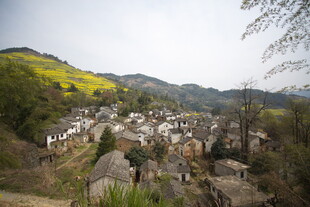 山村春色 宁静古朴村落