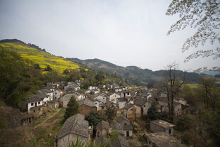山村景致 宁静古朴村落