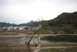 乡村静谧湖畔风光