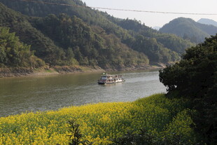 江畔黄花与行船美景