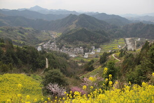 山间村落春色如画