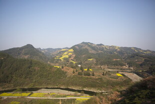 山间春色 蜿蜒公路伴花海