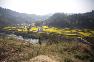 山间油菜田与村落美景