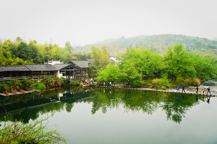 江南水乡湖畔秀丽风光