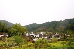 婺源山村田园风光美景