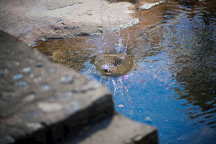婺源山间清泉 水花灵动瞬间