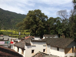 婺源皖南村落风光