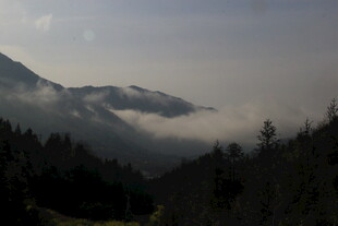 婺源山间云雾缭绕的森林美景
