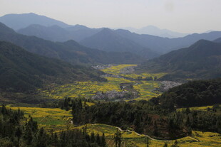 婺源山间油菜田的美丽景致