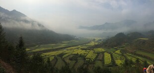 婺源山间梯田美景