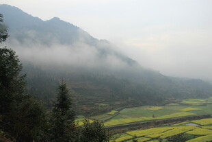 婺源山间云雾下的金黄田园风光