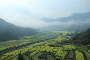 婺源山间梯田美景