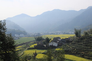 婺源山间梯田村落美景