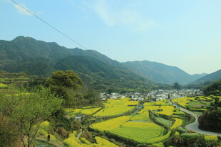 婺源山间田园美景