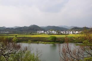 婺源湖畔乡村风光 宁静美好