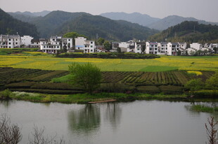 婺源乡村湖畔田园风光美景