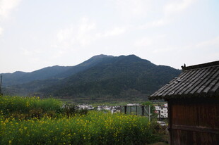 婺源乡村山野小屋田园风光