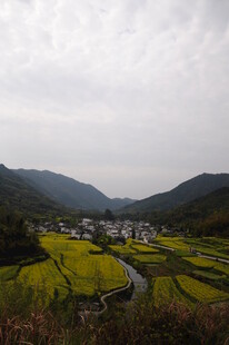 婺源山间田园美景
