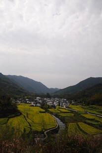 婺源山间梯田美景