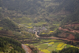 婺源山间田园风光美景