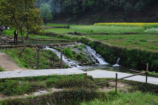 婺源乡村溪边美景