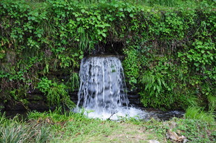 婺源山间小瀑布 绿意环绕