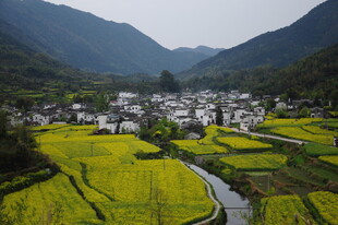 婺源山间田园美景