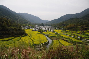婺源山间田园风光美景
