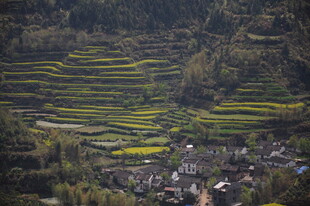 婺源山间梯田村落美景