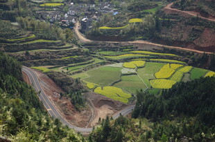 婺源山间梯田美景