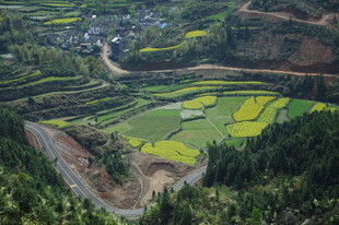 婺源山间梯田村落美景