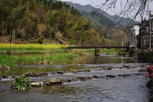 婺源乡村溪边美景如画