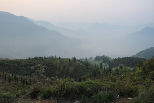婺源山间晨景 绿意盎然